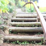 545018_256453127777227_100002376257235_537116_1449137694_n