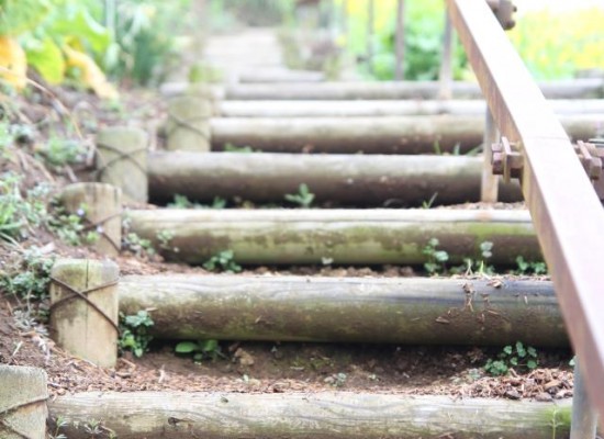 545018_256453127777227_100002376257235_537116_1449137694_n