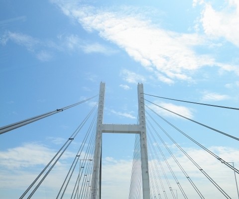 R1028240